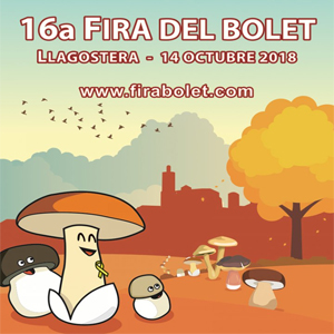 Fira del bolet de Llagostera Fira del bolet de Llagostera