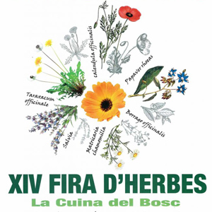 XIV Fira d'Herbes i la Cuina del Bosc - Setcases 2018 XIV Fira d'Herbes i la Cuina del Bosc - Setcases 2018
