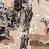 Fita Abstracte