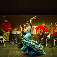 Flamenkids