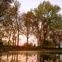 Foia d'Ulldecona