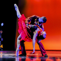 XXXI Gala de dansa XXXI Gala de dansa