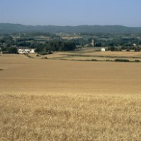 Gavarres, Zona d'Interès Etnològic Gavarres, Zona d'Interès Etnològic