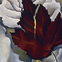 conferència, xerrada, O'Keeffe, pintor, pintura, Art, Març, CaixaFòrum Lleida, Surtdecasa Ponent, 2017 conferència, xerrada, O'Keeffe, pintor, pintura, Art, Març, CaixaFòrum Lleida, Surtdecasa Ponent, 2017