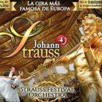 música, concert, Strauss, gran concert any nou, desembre, 2016, Surtdecasa Ponent, Cervera, Segarra música, concert, Strauss, gran concert any nou, desembre, 2016, Surtdecasa Ponent, Cervera, Segarra