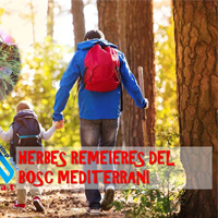 Herbes remeieres Herbes remeieres