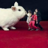 Hop