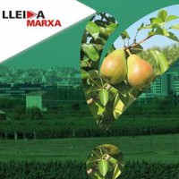 Lleida, horta, visita, portes obertes, explotacions, paisatge, natura, patrimoni, història, origen, novembre, Surtdecasa Ponent, 2016