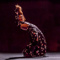 Espectacle 'I leave the lights on' de Victoria P. Miranda