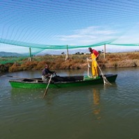 La pesquera de la tancada