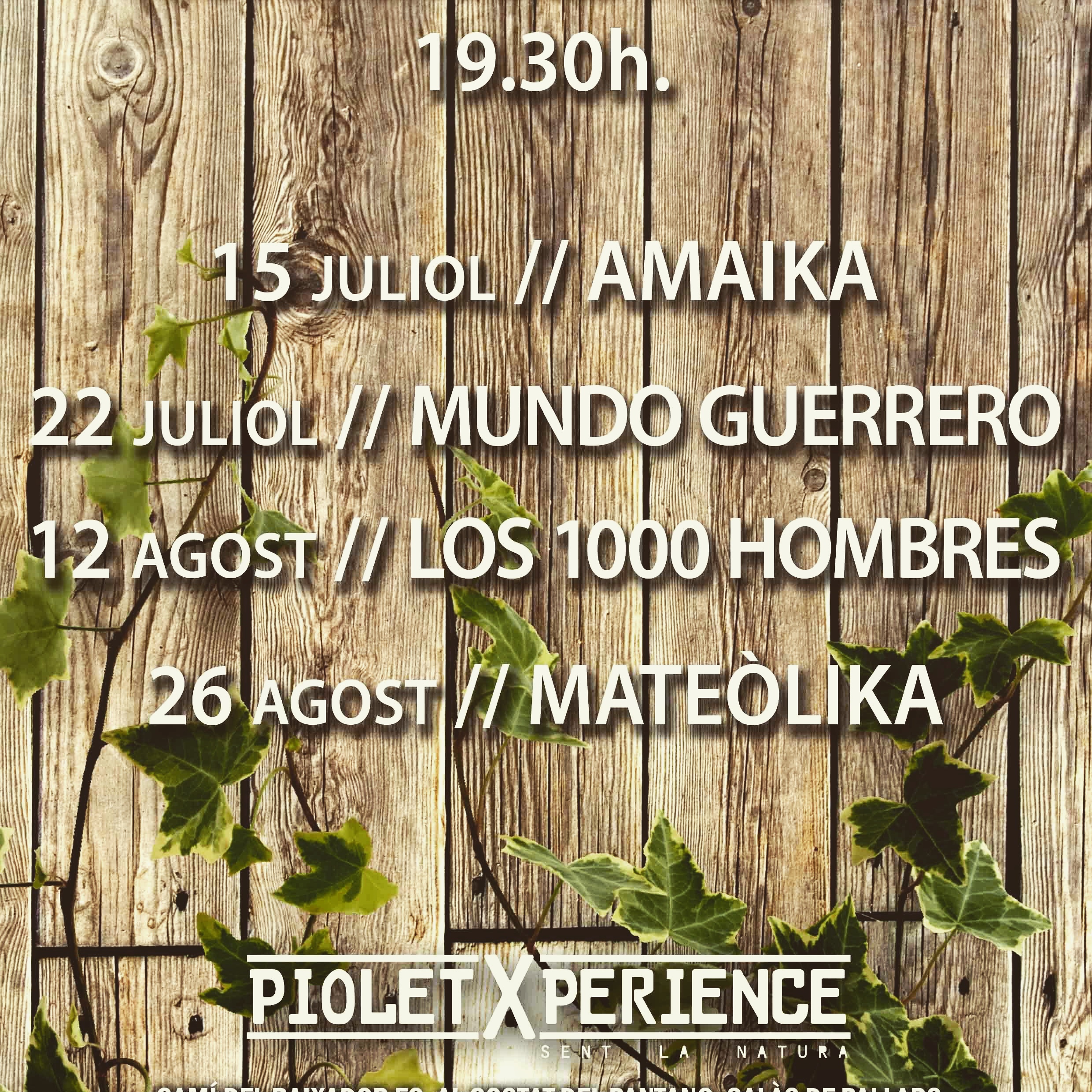 Cartell concerts Piolet Xperience