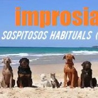 Improsia 127