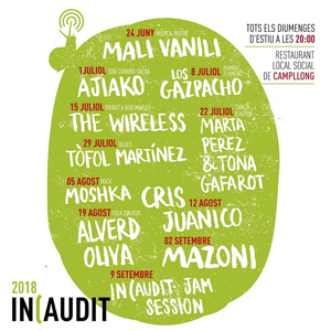 IN(AUDIT