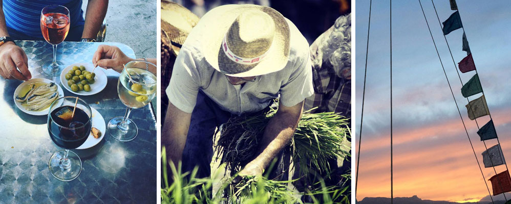 Instagram #surtdecasaebre 20 juny 2016
