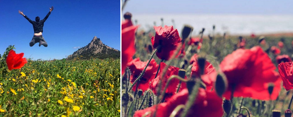 Instagram #surtdecasaebre 2 maig 2016