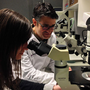Institut de Recerca Biomèdica de Lleida