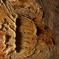 Jornada Emprenedoria Artística, abril, Universitat de Lleida, 2017, Surtdecasa Ponent Jornada Emprenedoria Artística, abril, Universitat de Lleida, 2017, Surtdecasa Ponent