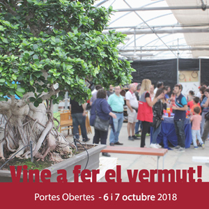 Portes obertes Mistral Bonsai - Camarles 2018 Portes obertes Mistral Bonsai - Camarles 2018