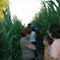 laberint, Castellserà, Lleida, Surtdecasa Ponent, activitat, activa't, família, amics, infants, juliol, 2016