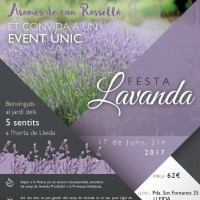 Festa de la lavanda