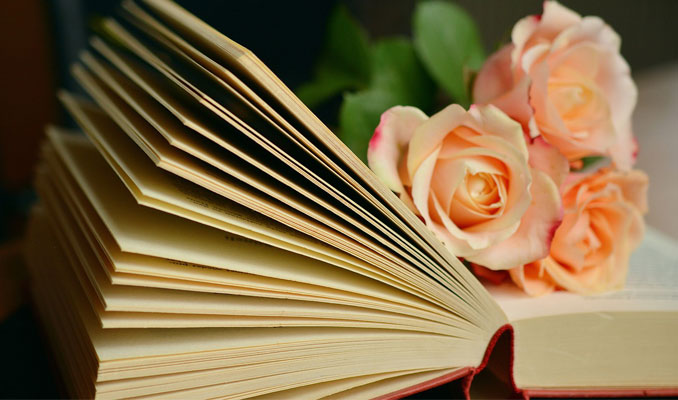 Llibre i roses