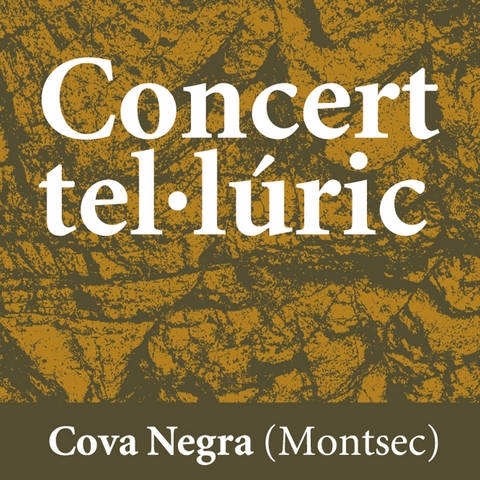 Cartell del 'Concert Tel·lúric' a la Cova Negra