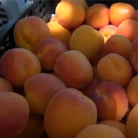 Mercat fruita dolça