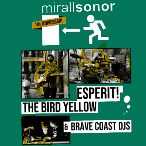 Mirall sonor, 2018, festival Mirall sonor, 2018, festival