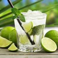 Mojito Mojito