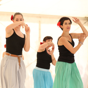 Mostra final dels cursos d'iniciació Deltebre Dansa - 2018 Mostra final dels cursos d'iniciació Deltebre Dansa - 2018