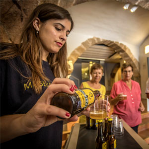 Visita guiada al Museu