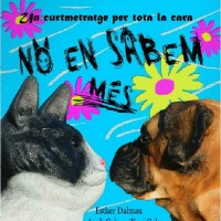 No en sabem més