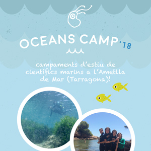 Oceans Camp, campaments d’estiu de científics marins - Plàncton Diving 2018