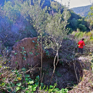 Forn de calç Olesa