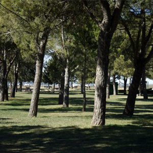 Ioga per a infants