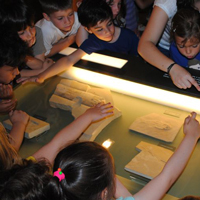 Visita guiada 'Pedres, llegendes i senyors' - Museu d'Alcover Visita guiada 'Pedres, llegendes i senyors' - Museu d'Alcover