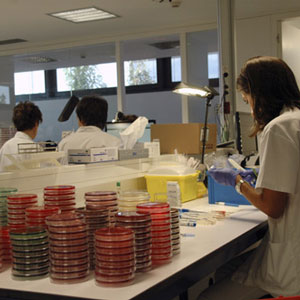 Institut d'Investigació Sanitària Pere Virgili Institut d'Investigació Sanitària Pere Virgili
