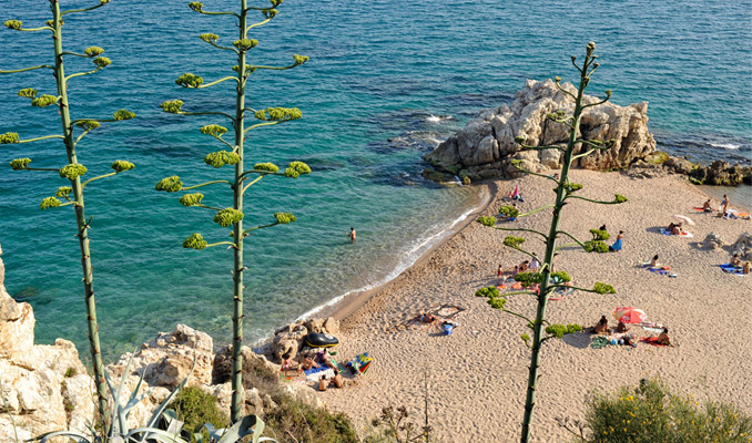 Roca Grossa de Calella Roca Grossa de Calella