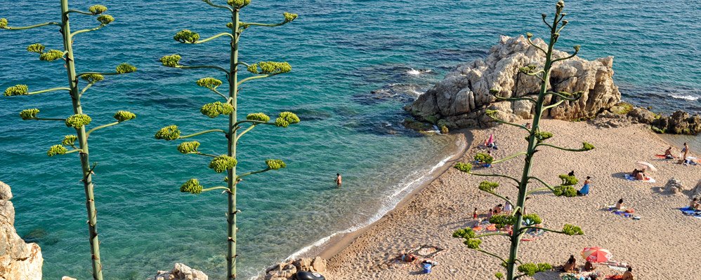 Roca Grossa de Calella