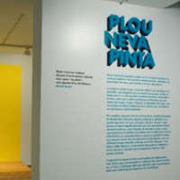 Plou, neva, pinta