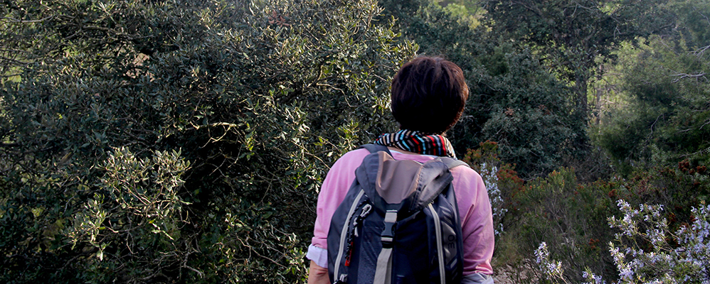 Excursió
