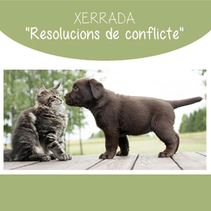 Xerrada 'Resolucions de conflicte' - Biblioteca de Gandesa 2019