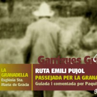 Ruta Ruta