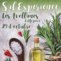 Sal Experience