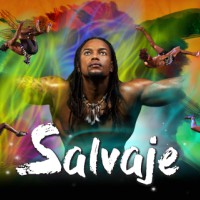 Salvatge