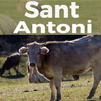 Sant Antoni - Vallfosca 2018 Sant Antoni - Vallfosca 2018