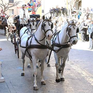 Sant Antoni Santpedor Sant Antoni Santpedor