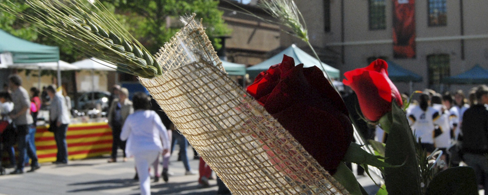 Sant Jordi Igualada