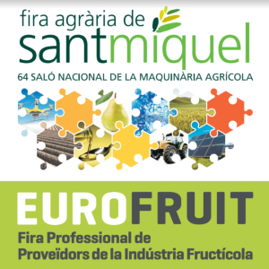 Fira de Sant Miquel