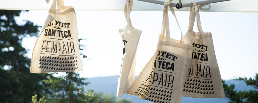 Santa Teca